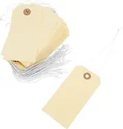 TOGEVAL 100Pcs Blank Tags with String for Jewelry Display Writable Labels for Crafts Clothing Shoes Stationery Easy to Hang Lightweight Compact