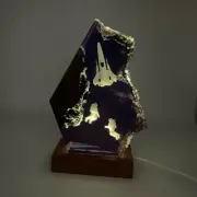 Space Exploration Organism Resin Table Light Creactive Art Decoration Lamp Space