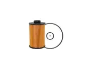 Baldwin 19ZZ65S Fuel Separator Fits 2021 Isuzu NRR 5.2L 4 Cyl 4HK1 (for: Isuzu)
