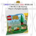 【磚星球】樂高 LEGO 30662 動物森友會 小楓的南瓜花園 MAPLE'S PUMPKIN GARDEN