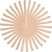 HEATSHAKING 50Pcs Natural Dried Birch Twigs for DIY Crafts Elegant Branches for Home Decor Landscaping Creative Displays for Rustic Themes