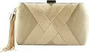 F Fityle Women's Elegant Tassel Pendant Evening Bag Clutch Purse For Bride, Wedding Prom Night Out Cocktail Party Handbag Clutch