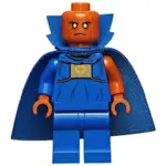 樂高LEGO 76194 觀察者 漫威 超級英雄 如果 WHAT IF