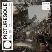 Molly - Picturesque [VINYL]