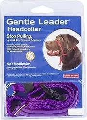 Beau Pets Dog Head Collar, Purple, Small