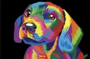 Paint by Number for Kids and Adults Beginner DIY Gift Canvas Painting Kits 16...