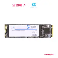 在飛比找蝦皮商城優惠-Alfa SSD AM380 1TB M.2 SATA 22