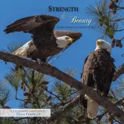 Strength & Beauty: The Bald Eagles of Berry College by Gena Flanigen (English) P