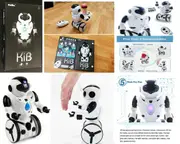 JXD 1016A KIB Intelligent Balance RC Remote Control Robot Ages 8+ New Toy Gift