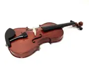 Caraya Full Size 4/4 Violin Set + Foam Case, Bow, Rosin, Spare Strings MV00144