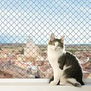Cat Balcony Rail Net, 10 x 26 ft/3 x 8 m Cat Anti-Fall Netting Pet Balcony Mesh Fence Net Dog Fence Nets Black Nylon Pets Anti-Fall Mesh Fence Black