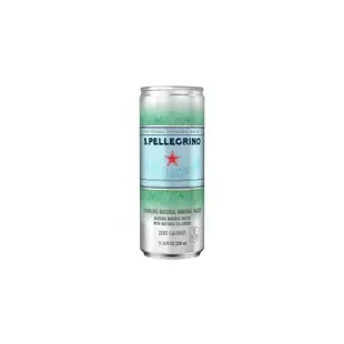 San Pellegrino 聖沛黎洛 天然氣泡礦泉水 330毫升 X 24罐#Costco好市多#125875