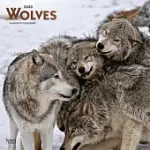 WOLVES 2020 CALENDAR: FOIL STAMPED COVER