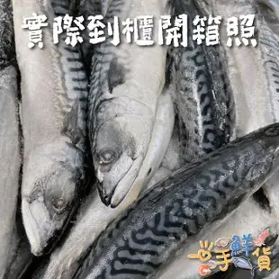 【一手鮮貨】挪威無鹽整尾鯖魚(4尾組/單尾500g-550g)