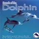 e2 ETDCD056 海豚之聲 Sounds of the Dolphin (1CD)