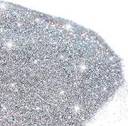 500g Glitter Paint Additive Silver Holographic Glitter Paint Additive Silver Holographic Metallic Sparkling Powder Mix with Acrylic for Interior Exterior Wall Ceiling Wood(Silver Holographic)