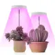 新款LED植物生長燈全光譜室內天使環植物燈家用多肉花卉種植燈5v