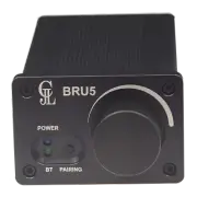 Bluetooth Amplifier BT5.0 Module 2.0 Stereo high-power BRU5 DSP PC UI Control