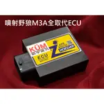 [凱宇皓月] 噴射野狼/T1-150專用全取代ECU (M3A)