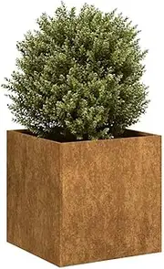 Stylish Rusty Planter Box 40x40x40 cm Weathering Steel Open Bottom Durable
