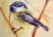 ORIGINAL Art watercolor painting Chickadee wall art Bird artwork 10.25x14.25”