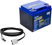 Kings 60Ah Lithium LiFePO4 Battery Prismatic cells + 6M Lead with Plugs