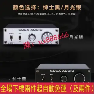 300W火力全開 AIYIMA A3001 重低音擴大機 單聲道擴大機 可接主動式低音 被動式低音 被動喇叭