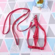 Parrot Strap Bird Harness for Bird-walking Rope Accessories Birds Leash