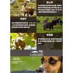 愛咬咬寵物出清特賣 野宴 LIVIN’WILD  全齡犬草飼無穀配方 全齡犬放養無榖配方 4LB/1.81KG