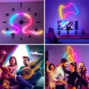 Neon Flex Rope Strip Lights 5M Dreamcolor Addressable Party DIY WIFI RGBIC LED