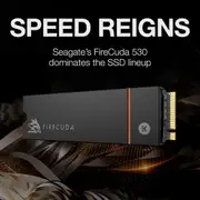 Seagate FireCuda 530 500GB NVMe M.2 PCIe SSD with Heatsink - PlayStation 5