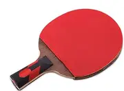 Ping Pong Paddles Table Tennis Bats for Increased Control, Spin & Power Perfect for Adults and Kids Indoor/Outdoor Activity ZSMMFDB (Size : Short Handle)