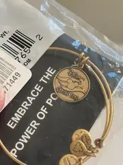Disney Cruise Line Logo Alex and Ani Gold Color Bangle Bracelet NEW