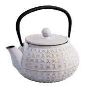 NEW AVANTI CAST IRON TEAPOT Tea Pot Brew Strainer EMPRESS 900ml