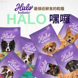 💜鎧力士💜HALO嘿囉 無穀狗飼料 [滿額免運送舒潔] 嘿囉Halo 美國製造WDJ推薦 狗糧 高肉量益生菌 健康有純素