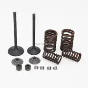 Intake Exhaust Valves Rebuild Kit for Zongshen CG250 250cc ATV Dirt Bike Go Kart
