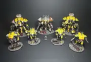 Warhammer 40k Imperial Knights Army pro Painted