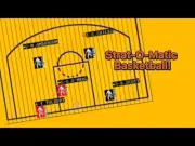 Strat-o-matic Basketball 1977-78 Computer PC Game Season Code