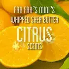 Fra Fra's Mini's | Premium Raw Organic Whipped Shea Butter - Citrus Scents 4oz