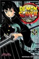 Demon Slayer - Kimetsu No Yaiba 12