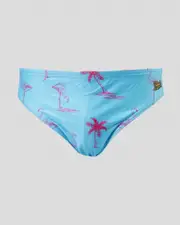 [Sack Hammock] Sack Hammock Men's Flamingo Swim Briefs in Cyan/Pink Size Small S Cyan/Pink