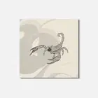 Scorpio Sketch Animal 4'' X 4'' Square Wooden Coaster