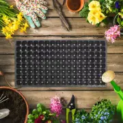 10 Pcs Plant Pots Indoor Houseplant Seedling Tray Propagation