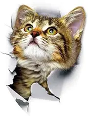 DIY 3D Removable Cat Toilet Stickers Kids Room Decor Nursery Decal Sticker Wallpaper Poster, Cute cat 1