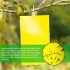 Strong Fly For Dual Traps Plant Sided Yell Toxic Sticky Fruit Non Glue Aphids TW