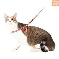 在飛比找蝦皮購物優惠-【Petstore】寵物牽繩 伸縮牽繩 牽引繩 日本Peti