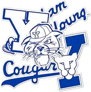 Desert Cactus BYU Brigham Young University Stickers Cougars Cougs Vinyl Decals Laptop Water Bottle Car Type 2 (T2 Vintage 2)