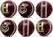 Heega ™ Test Pure Cork Genuine Red Leather Ball (Pack of 6)