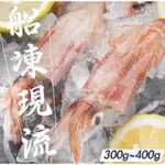 南海豐【野生現流船凍小卷】300~400G/盒 現流船上急凍，入港即真空，鮮度極高，細嫩Q彈順滑