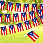 Puerto Rico PR Bunting Banner Flag 8.2 x 5.5 Inch, Full String 33 Feet